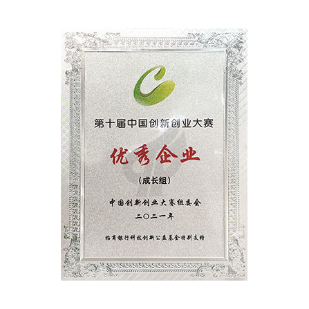 Outstanding Enterprise (Growth Group) of the 10th China Innovation and Entrepreneurship Competition